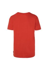 Koszulka męska Protest Berry 1713711. Materiał: materiał, bawełna. Długość rękawa: krótki rękaw. Długość: krótkie. Wzór: aplikacja #2