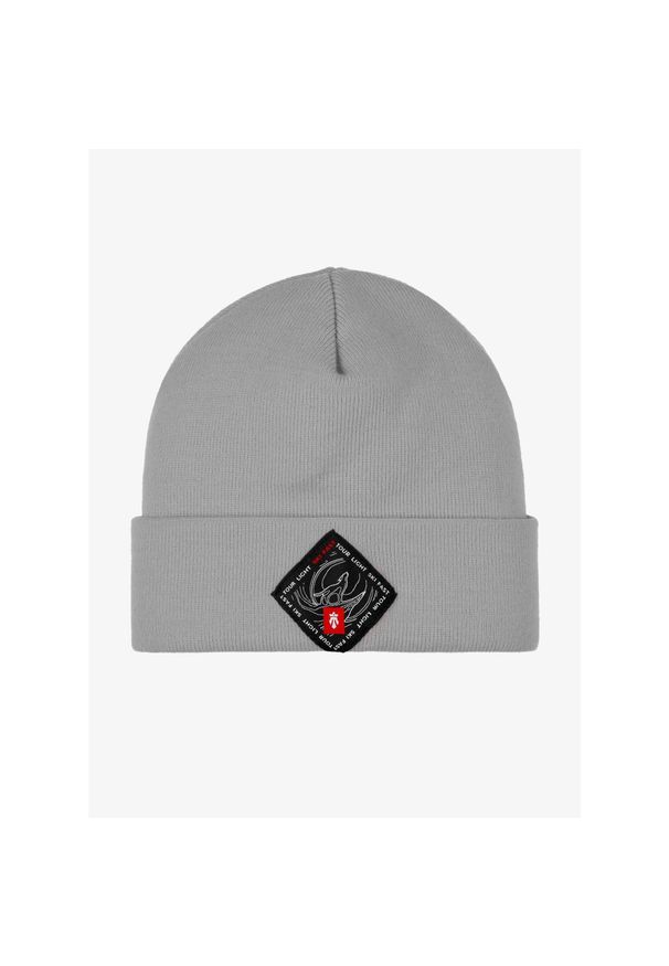 MAJESTY - Czapka zimowa Majesty Beanie Ski Fast - grey. Kolor: szary. Sezon: zima