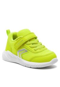 Geox Sneakersy B Sprintye Boy B454UC 01454 C3008 Zielony. Kolor: zielony. Materiał: materiał, mesh #4