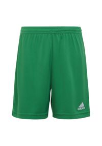 Adidas - Spodenki piłkarskie dla dzieci adidas Entrada 22. Kolor: zielony #1