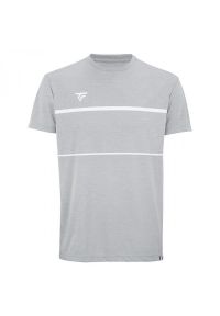 TECNIFIBRE - Koszulka T-shirt tenisowa męska Tecnifibre Team Tech Tee. Kolor: szary. Sport: tenis