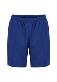 Szorty Hummel Move Grid. Kolor: niebieski. Materiał: tkanina. Wzór: nadruk, jodełka. Sport: fitness #1