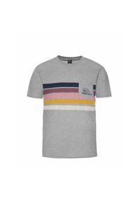 Koszulka Protest Prtjudoc. Kolor: szary. Wzór: nadruk, kolorowy. Sezon: lato #1