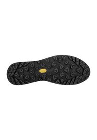 Buty trekkingowe męskie Lowa Carezza Gtx Low 2024. Kolor: wielokolorowy. Materiał: materiał, syntetyk. Szerokość cholewki: normalna