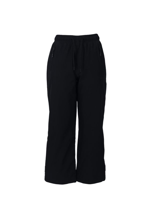 Dziecięce spodnie narciarskie Whistler Fandango V2 10000. Kolor: czarny. Sezon: zima. Sport: narciarstwo