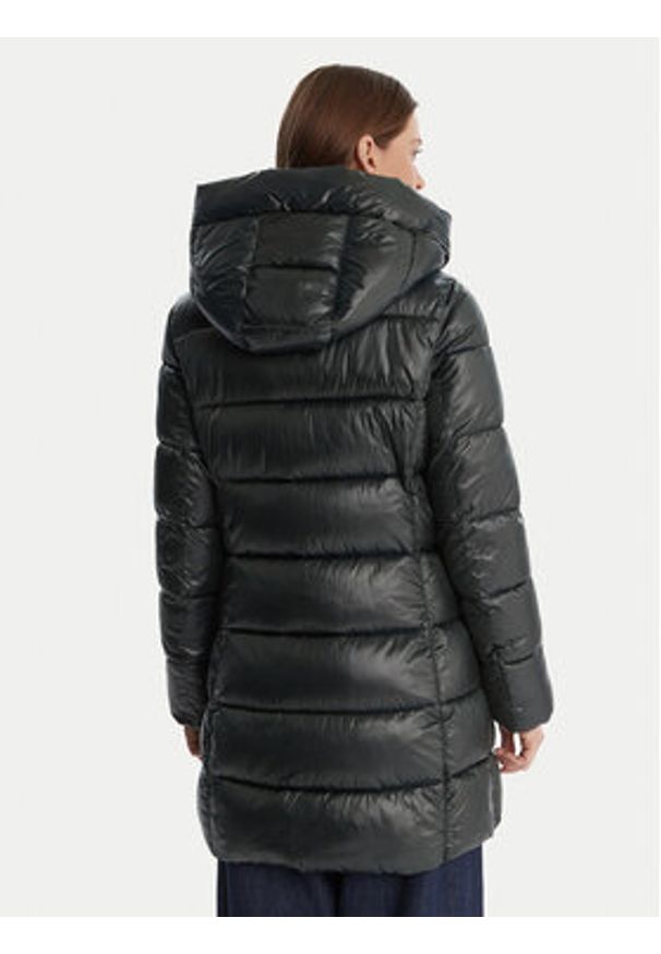 DKNY Kurtka zimowa DLEMPU99 Zielony Regular Fit. Kolor: zielony. Materiał: syntetyk. Sezon: zima