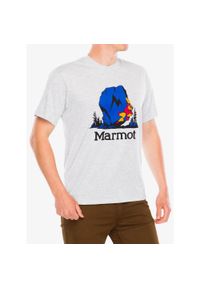 Koszulka bawełniana męska Marmot Bouldering Marty. Typ kołnierza: polo. Kolor: szary. Materiał: bawełna #1