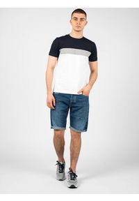 Geox T-shirt "Sustainable" | M2510F T2870 | Sustainable | Mężczyzna | Biały, Szary, Granatowy. Okazja: na co dzień. Kolor: niebieski, biały, wielokolorowy, szary. Materiał: bawełna. Wzór: nadruk. Styl: casual #1
