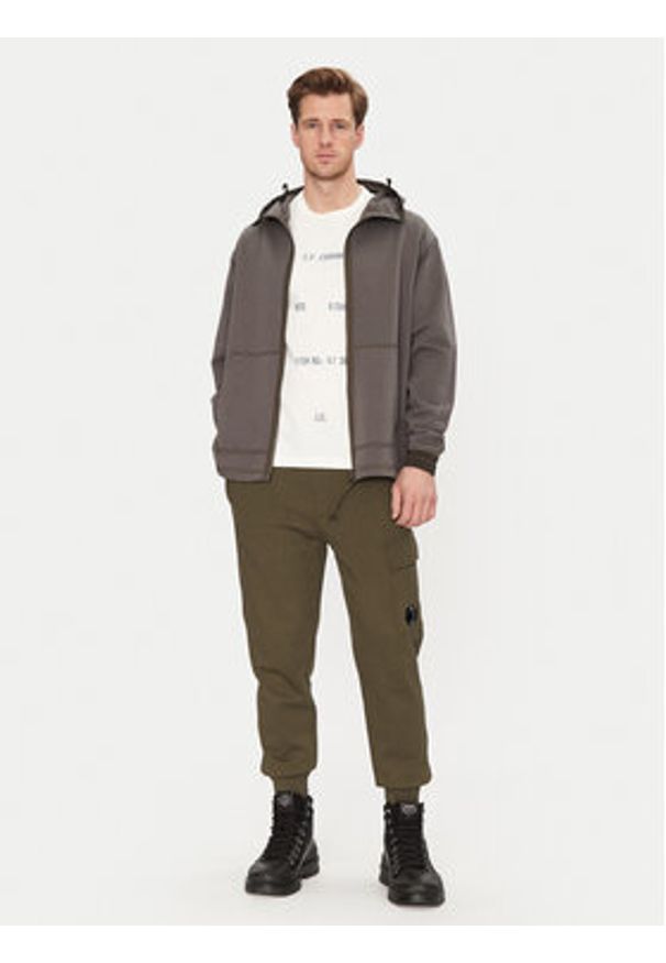 C.P. Company Spodnie dresowe 18CMSP017A005086W Zielony Regular Fit. Kolor: zielony. Materiał: bawełna