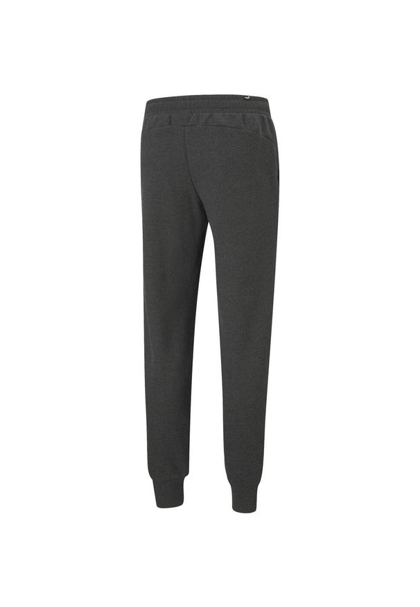 Spodnie męskie Puma Essentials Logo. Kolor: szary. Materiał: bawełna, materiał. Sport: fitness