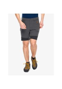 Spodenki turystyczne męskie Rab Torque Mountain Shorts. Kolor: szary. Sport: turystyka piesza