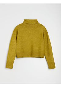 Sinsay - Gładki golf basic - zielony. Typ kołnierza: golf. Kolor: zielony. Wzór: gładki