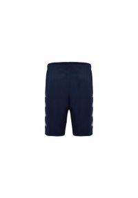 Szorty dla dzieci Kappa Domaso. Kolor: niebieski. Materiał: materiał. Styl: sportowy