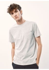 Ochnik - Szary basic T-shirt męski. Kolor: szary. Materiał: bawełna. Długość: krótkie #1