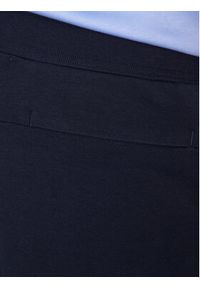 Polo Ralph Lauren Szorty sportowe 710887289004 Granatowy Regular Fit. Kolor: niebieski. Materiał: bawełna. Styl: sportowy