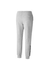 Spodnie damskie Puma Power Pants FL szare. Kolor: szary