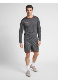 Hummel koszulka męska z długim rękawem hml Authentic Poly Jersey. Kolor: szary. Materiał: jersey. Długość rękawa: długi rękaw. Długość: długie. Sport: fitness