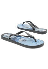 Niebieskie Japonki Ipanema Płaskie Obuwie Męskie. Okazja: na co dzień, na plażę, na spacer. Kolor: szary. Materiał: materiał. Wzór: paski. Sezon: lato. Styl: sportowy, elegancki, casual #7