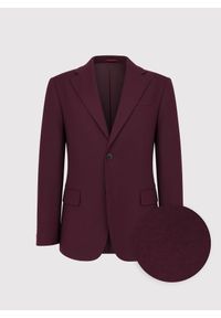 Pako Lorente - PAKO LORENTE – Bordowa marynarka garniturowa. Okazja: na wesele, na co dzień, na ślub cywilny. Kolor: czerwony. Materiał: wiskoza, poliester, elastan. Styl: casual #9