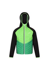 Regatta - Kurtka Dziecięca/dziecięca Kielder Hybrid VII Padded Jacket. Kolor: wielokolorowy, czarny, zielony