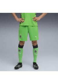 Puma - Męskie szorty Borussia Mönchengladbach 25/26 PUMA Green Warm White. Kolor: zielony, biały, wielokolorowy. Materiał: tkanina. Sport: fitness, piłka nożna