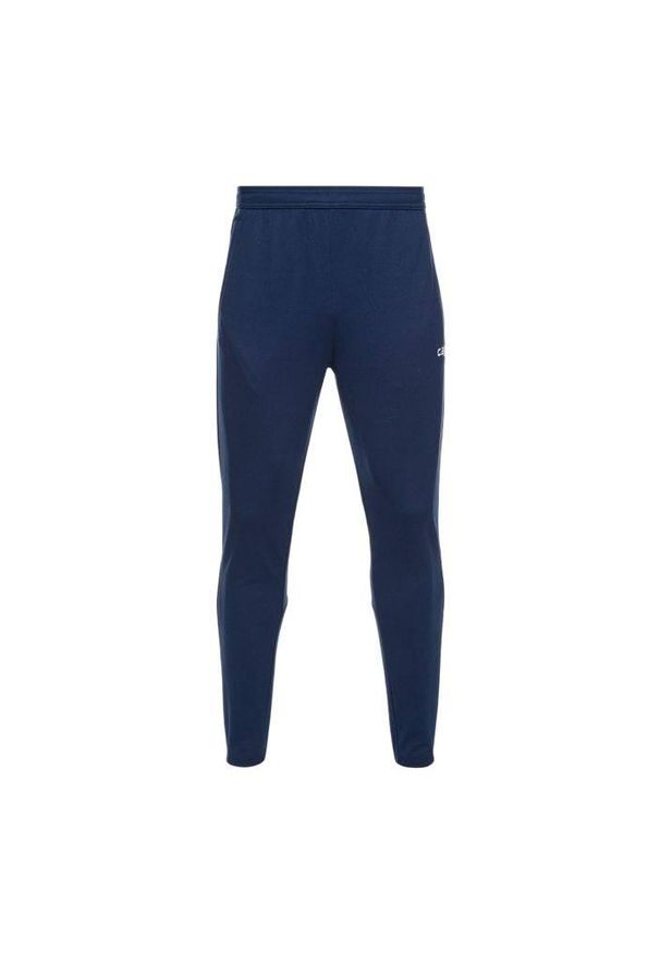 CAPELLI SPORT - Spodnie piłkarskie męskie Capelli Basic I Adult Training. Kolor: niebieski. Materiał: dresówka. Styl: sportowy