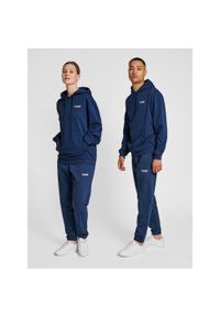 Bluza Hummel LGC Austin. Typ kołnierza: kaptur. Kolor: wielokolorowy, niebieski, zielony. Materiał: tkanina. Sport: fitness #1