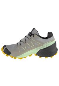salomon - Buty do biegania damskie Salomon Speedcross 5 Gtx W. Kolor: szary. Materiał: materiał, tkanina, syntetyk. Szerokość cholewki: normalna. Model: Salomon Speedcross