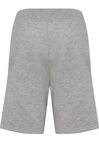 Szorty regulowane dla dzieci Hummel Clean. Okazja: na uczelnię. Kolor: szary. Materiał: bawełna. Styl: sportowy. Sport: joga i pilates