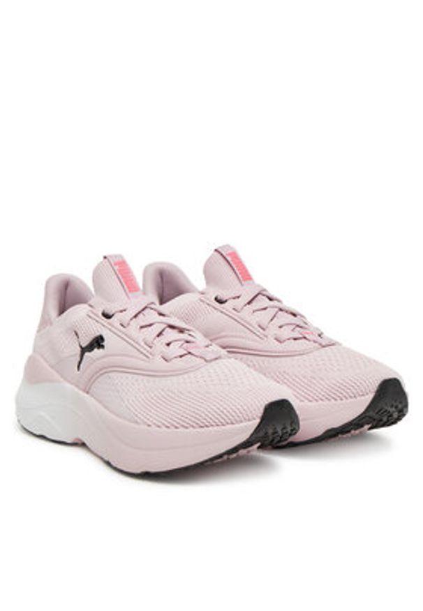 Puma Buty do biegania Softride Mayve Wn s 310160 17 Różowy. Kolor: różowy. Materiał: materiał