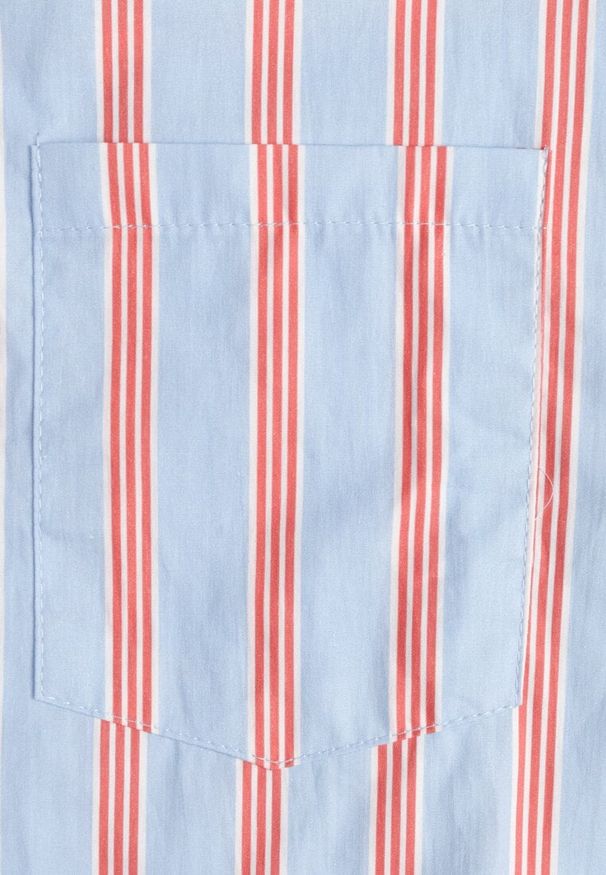 Renee - Niebieska Koszula z Bawełny Oversize w Pionowe Paski Telaria. Kolor: niebieski. Materiał: bawełna. Wzór: paski