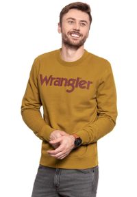 Wrangler - WRANGLER BLUZA LOGO CREW GOLDEN BROWN W6585I7VQ 112130605 #8