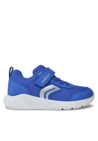 Sneakersy Geox. Kolor: niebieski