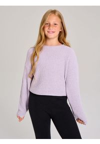 Sinsay - Prążkowany sweter w paski - fioletowy. Kolor: fioletowy. Materiał: prążkowany. Wzór: paski #1