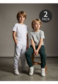 Sinsay - Spodnie loose 2 pack - szary. Kolor: szary #1