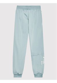 Adidas - adidas Spodnie dresowe Graphic Print HL6883 Błękitny Relaxed Fit. Kolor: niebieski. Materiał: syntetyk. Wzór: nadruk #2