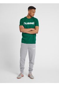 Koszulka sportowa z krótkim rękawem męska Hummel Cotton Logo. Kolor: biały, wielokolorowy, zielony. Długość rękawa: krótki rękaw. Długość: krótkie