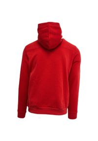 Bluza z kapturem Puma Athletics FL, Mężczyźni. Typ kołnierza: kaptur. Kolor: czerwony. Materiał: materiał, bawełna. Sport: fitness