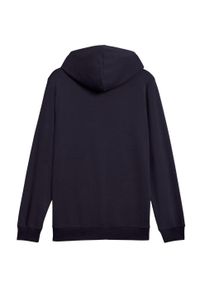 Bluza męska Puma Ess 2 Color Small No.1 Logo Hoodie TR. Kolor: niebieski. Materiał: dresówka. Sport: fitness