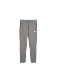 Puma - Męskie spodnie EVOSTRIPE PUMA Cast Iron Gray. Kolor: szary. Sport: piłka nożna