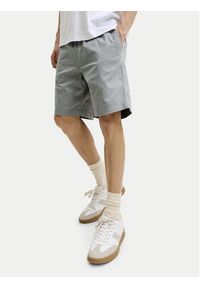 Jack & Jones Szorty materiałowe Jaiden 12302141 Kolorowy Regular Fit. Materiał: bawełna. Wzór: kolorowy #6