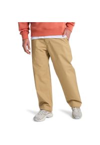 Quiksilver - dla Mężczyzn EVERYDAY UNION Brązowy. Kolor: beżowy. Materiał: poliester, bawełna, elastan, tkanina. Wzór: ze splotem #1