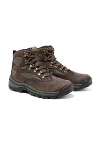 Trzewiki damskie Timberland Chochorua Trail Mid GTX Dk Brown Full Grain. Kolor: brązowy. Styl: sportowy