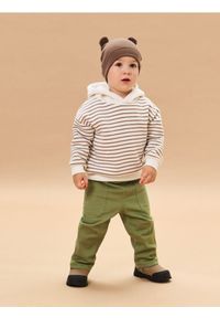 Sinsay - Bawełniane spodnie z ocieplaną podszewką - zielony. Kolor: zielony. Materiał: bawełna #1