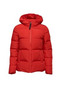 ZOOPLEMENTS - Damska kurtka pikowana Loap Tadarida, czerwona, XS. Kolor: czerwony. Materiał: puch. Sezon: zima #1