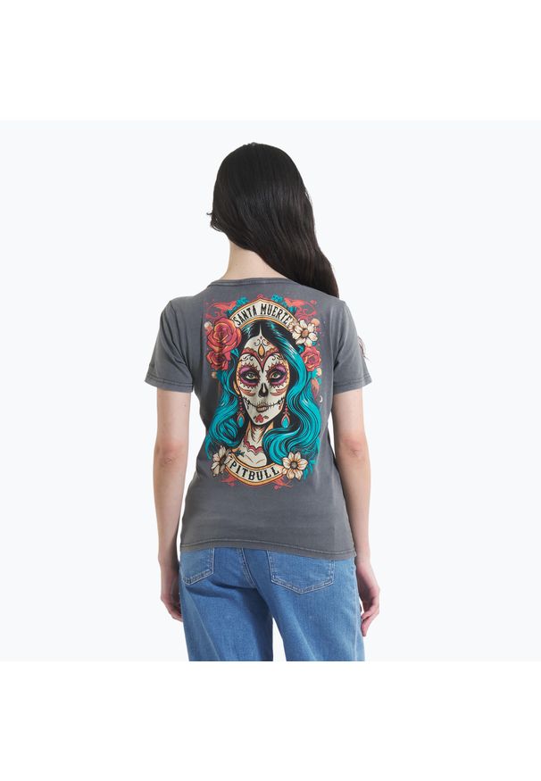 PITBULL - Koszulka damska Pitbull Santa Muerte 25. Kolor: szary