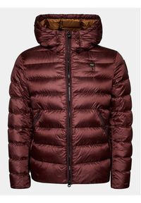 Blauer Kurtka puchowa 23WBLUC03075 Brązowy Regular Fit. Kolor: brązowy. Materiał: syntetyk, puch