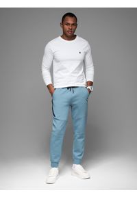 Ombre Clothing - Spodnie dresowe męskie ze ściągaczami i ozdobnym zamkiem – jasnoniebieskie V4. Kolor: niebieski. Materiał: dresówka. Styl: sportowy, elegancki