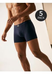 Sinsay - Bawełniane bokserki Classic 5 pack - granatowy. Kolor: niebieski. Materiał: bawełna