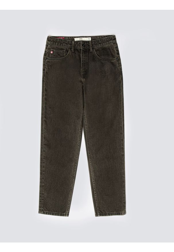 Big-Star - Jeansy męskie z kolekcji Authentic brązowe Ates 888. Kolor: brązowy. Styl: klasyczny